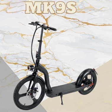 河源electric scooter MK9S